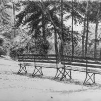 George Wallace - Beacon Hill Park, 1988, ink