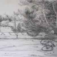 George Wallace - Beacon Hill Park, 1989, pencil