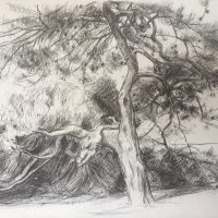 George Wallace - Beacon Hill Park, 1990, pencil