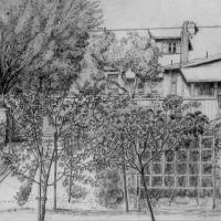 George Wallace - Back Garden, Huntington Place, Victoria, 1987, pencil