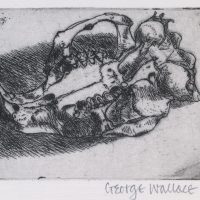 George Wallace - Rodent Skull - etching - 1965