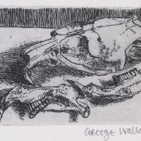 George Wallace - Rabbit Skull - etching - 1965