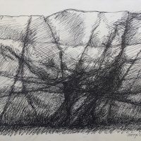 George Wallace - Rock Face - pen & ink drawing